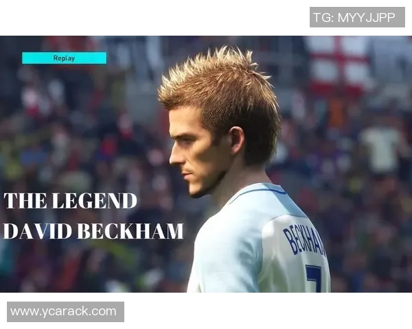 沙克尼足球生涯与传奇球星风采探秘